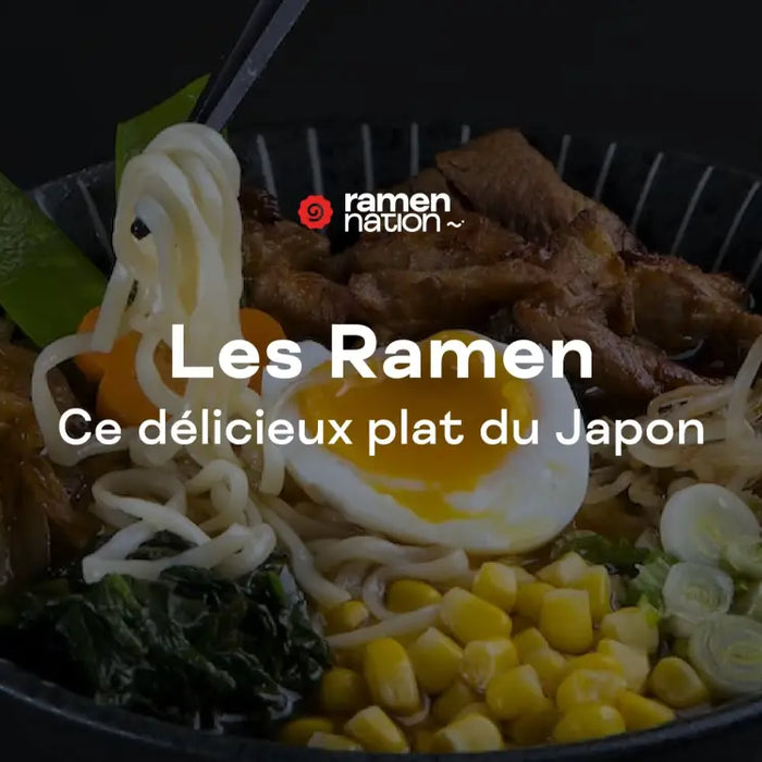 Tout savoir sur les ramen japonais | Ramen Nation