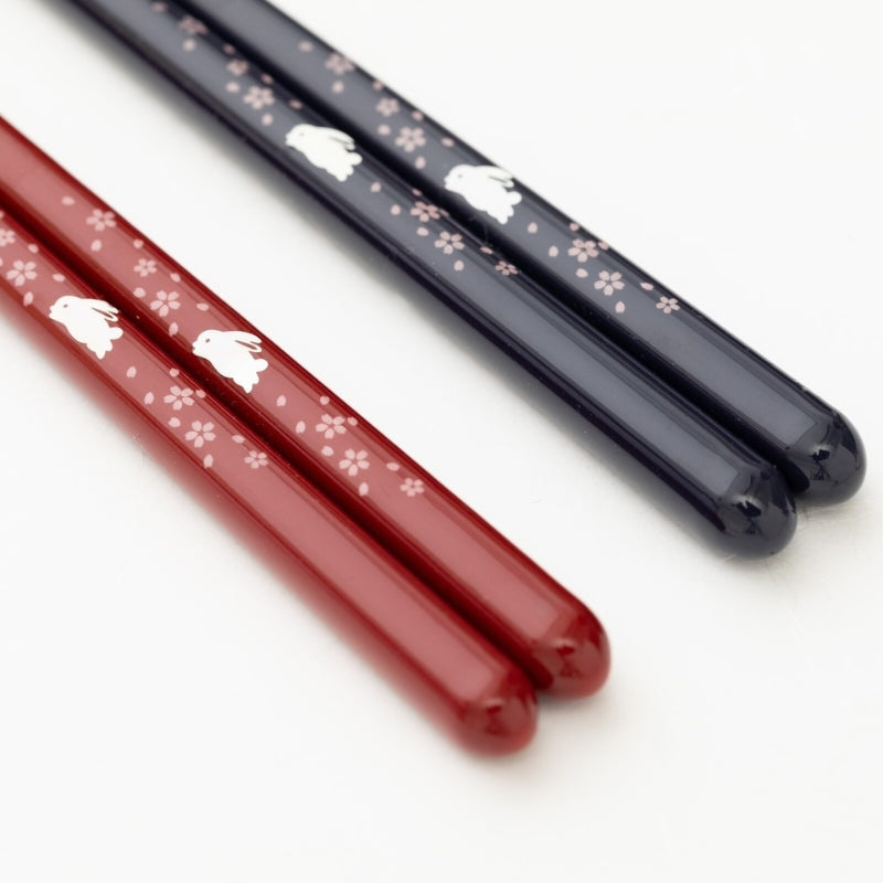 Duo Baguettes Japonaises Usagi