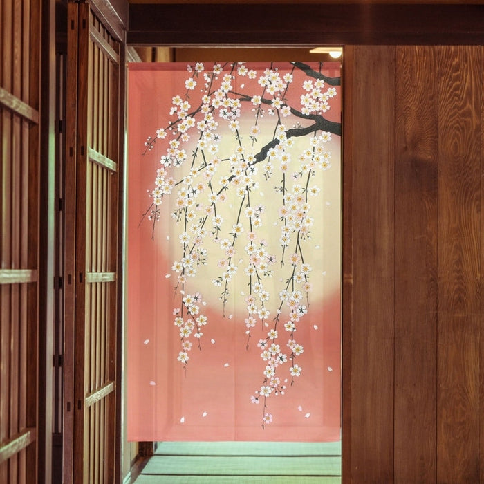 Noren Japonais Cherry Blossom | Ramen Nation