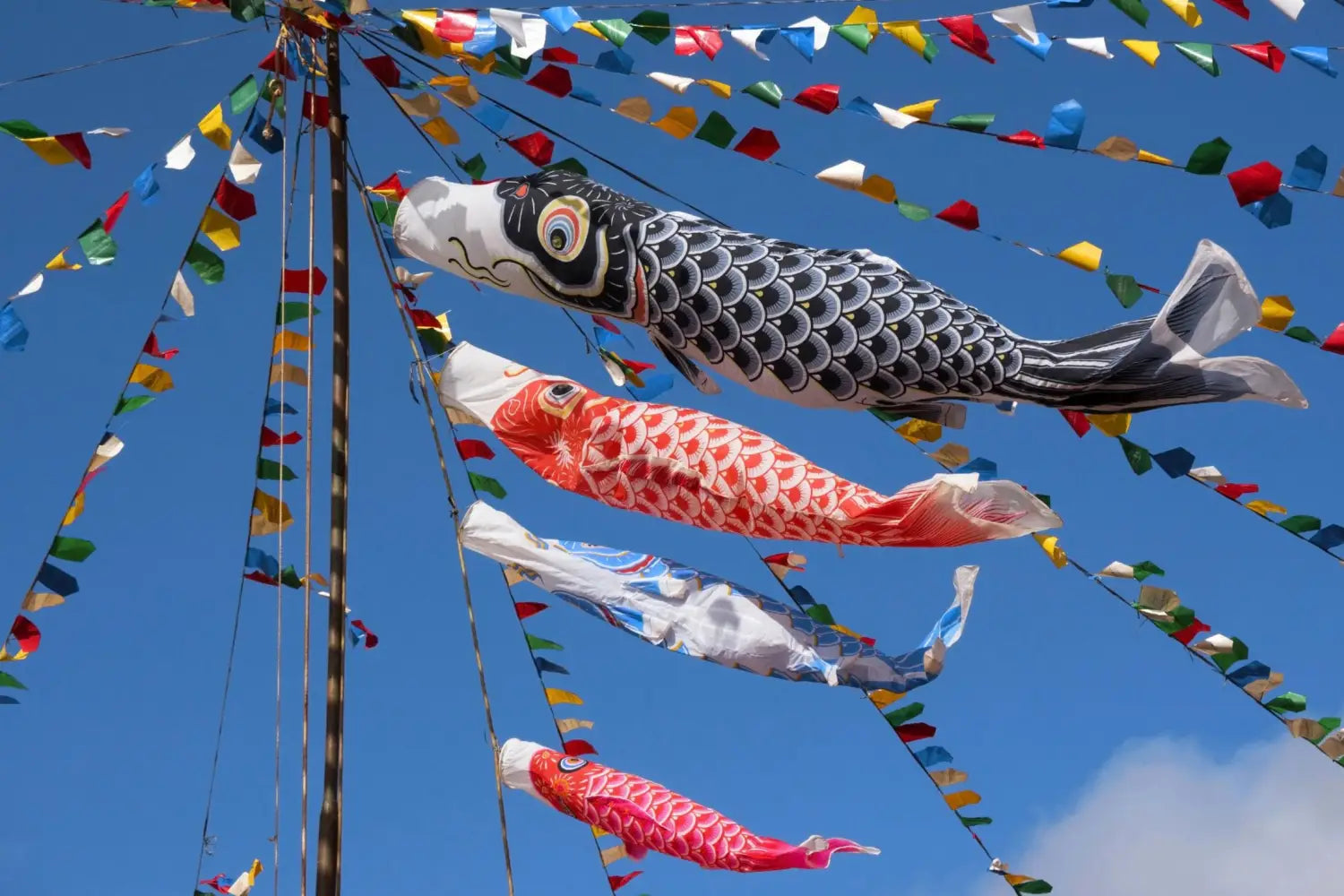 Célébrer le Poisson d’Avril au Japon: Traditions, Origines et Curiosités