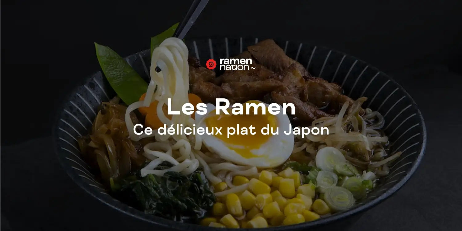 Tout savoir sur les ramen japonais | Ramen Nation
