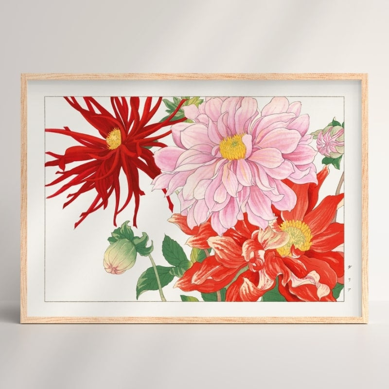 Estampe Japonaise Fleur Dahlia - A3