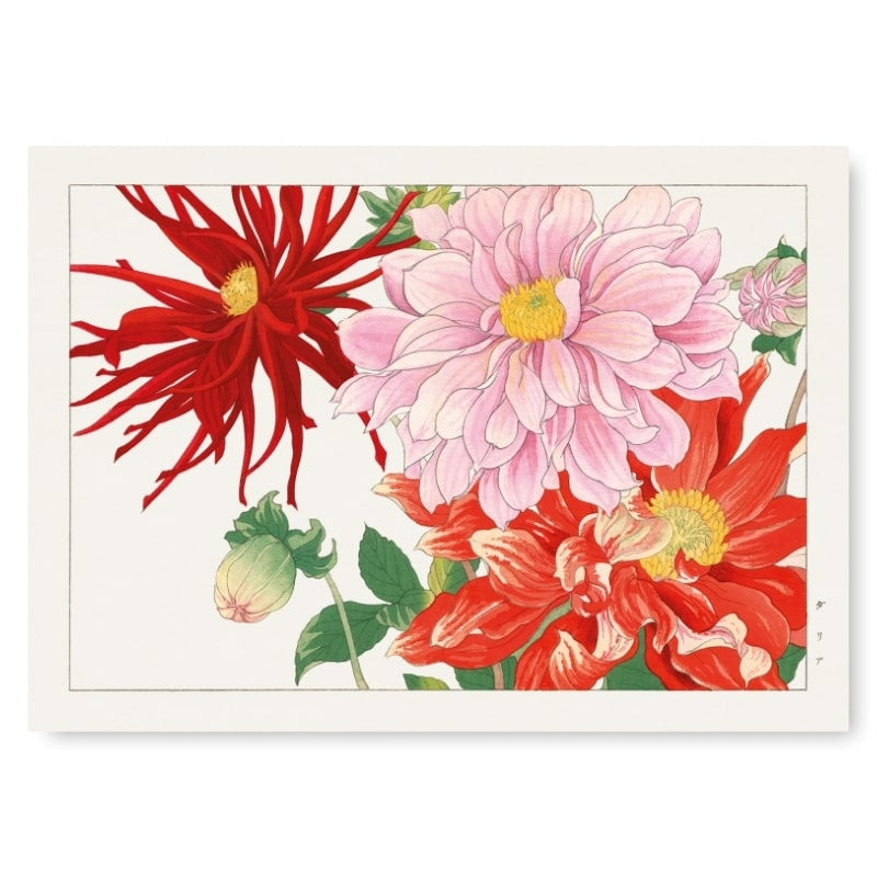 Estampe Japonaise Fleur Dahlia - A3