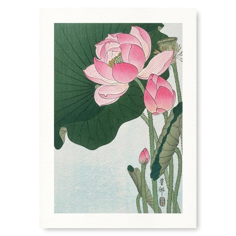 Estampe Japonaise Fleur de Lotus - A3