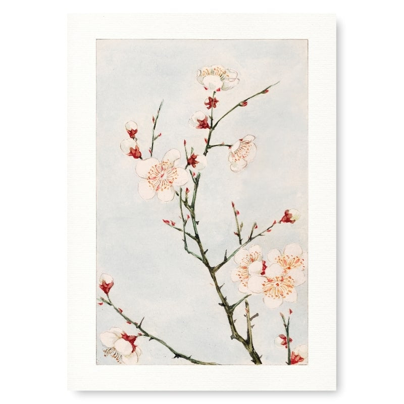 Estampe Japonaise Fleurs de Prunier - A3