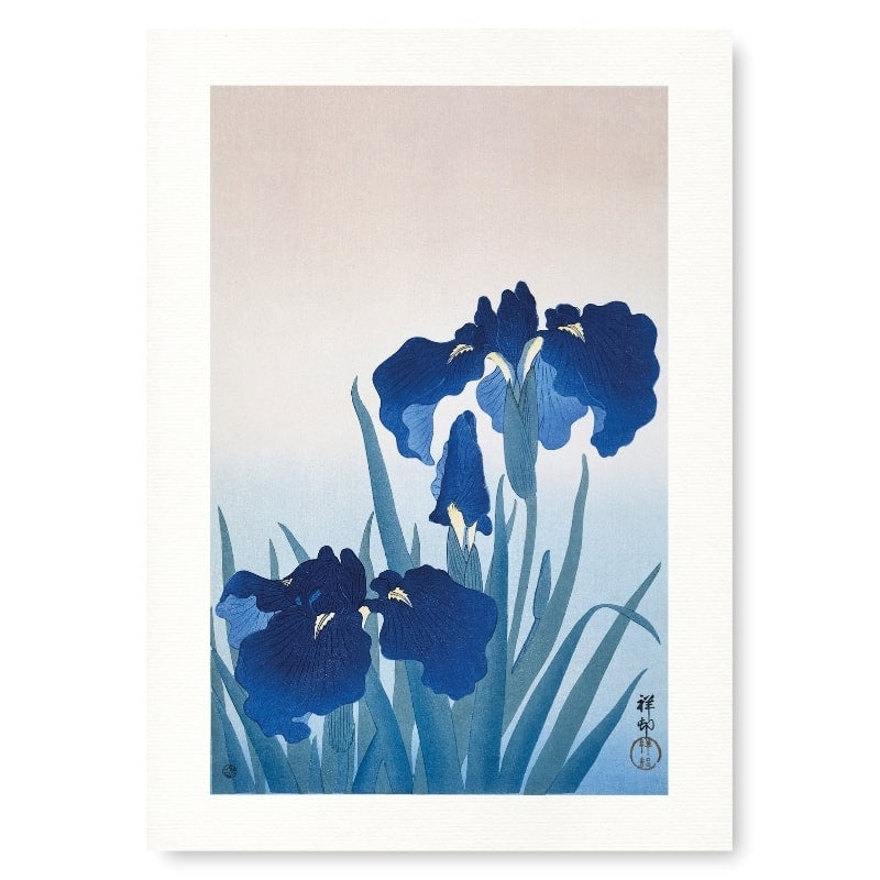 Estampe Japonaise Iris Bleu - A3