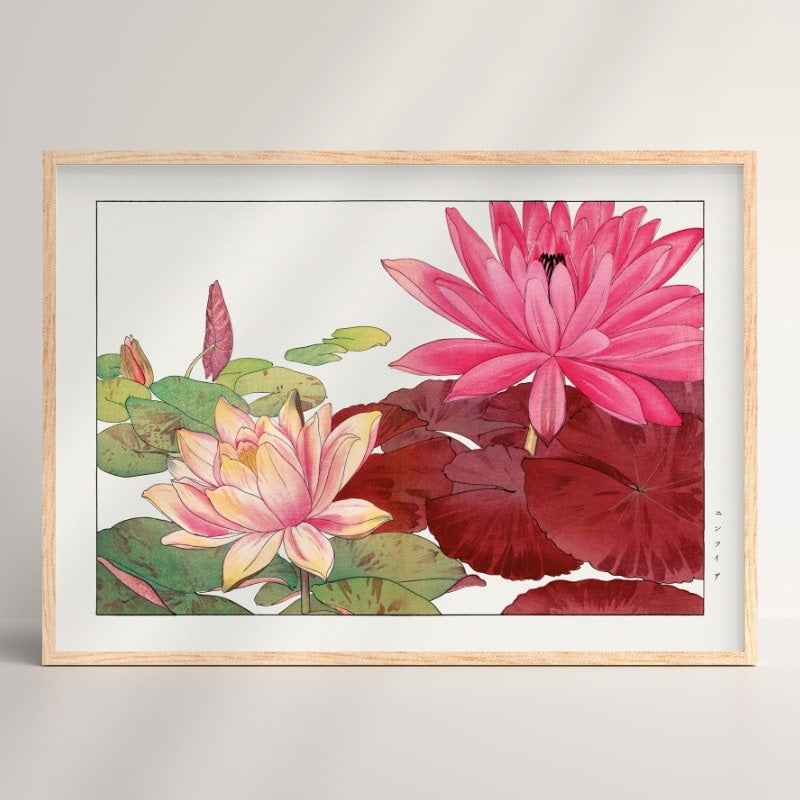 Estampe Japonaise Nymphaea Lotus - A3