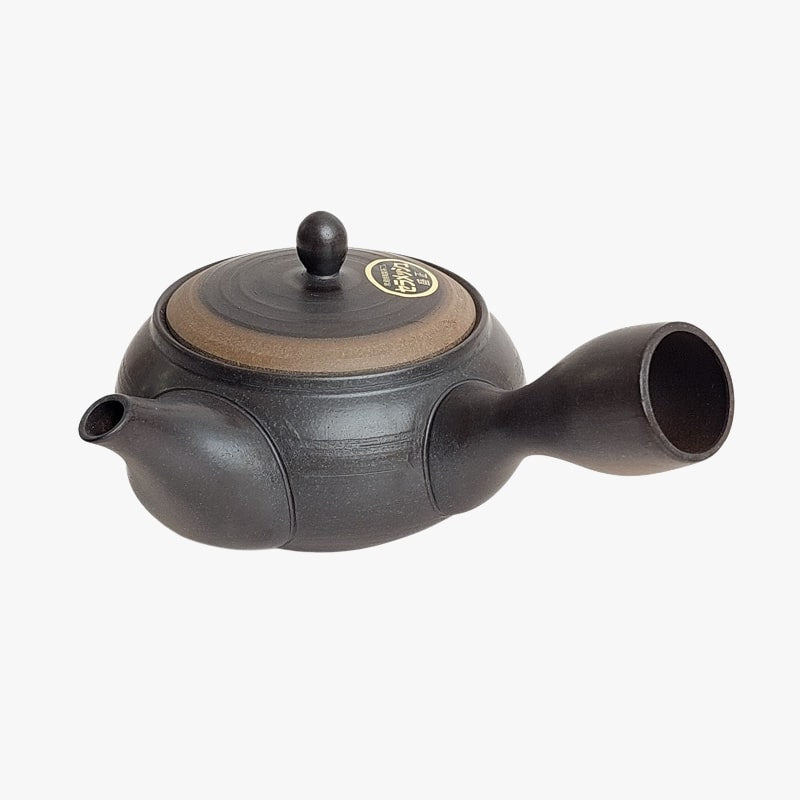 Théière Japonaise Kyusu Tokoname