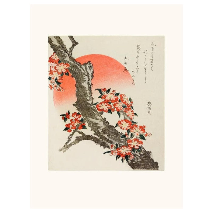 Affiche Japonaise Cerisier en Fleurs - A3 | Ramen Nation