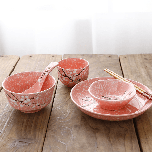 Ensemble de vaisselle japonaise pour la cuisine, ensemble de vaisselle en  céramique pour la maison, le bureau, la fête, le restaurant, les événements